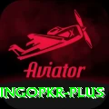 bingopkr Plus v4.9.7