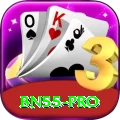 bn55 Gold Pro v4.2.8
