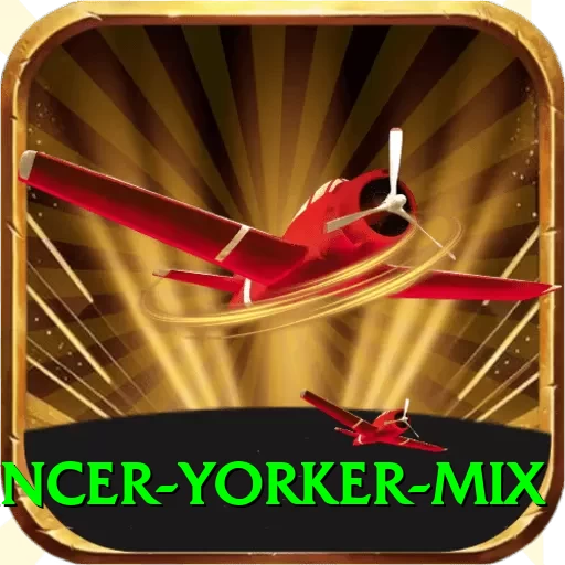 bouncer yorker mix Deluxe v2.9.3 - 2