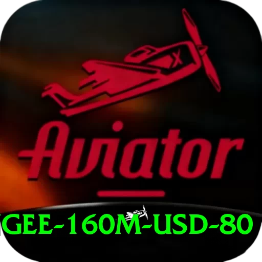 bungee 160m usd 80 Apps (Tools & Injectors) Gold v4.6.0 - 2