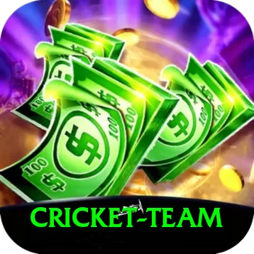 cricket team VIP Edition v3.3.1 - 2