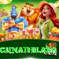 danushka gunathilaka Apps (Tools & Injectors) Ultimate v2.8.3