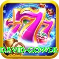 david gower Premium v5.8.6