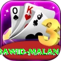 dawid malan Premium v5.7.3