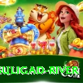 dunai suligad river Premium Plus v1.0.0