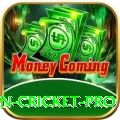 fastest ball in cricket Money Pro v4.3.0