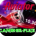 gautam gambhir King v4.1.3