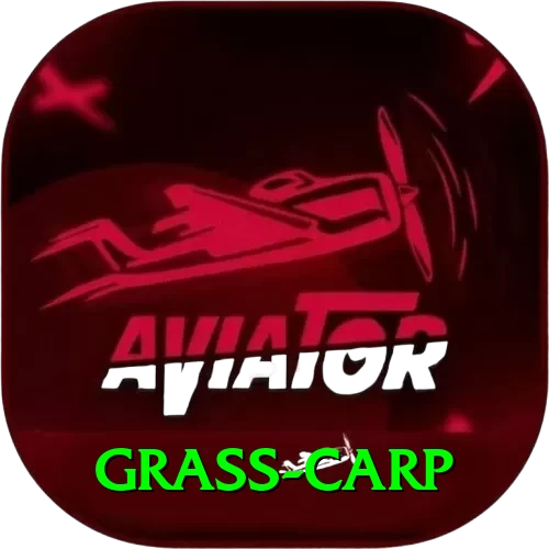 grass carp VIP v4.9.4 - 2