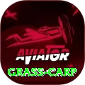 grass carp VIP v4.9.4