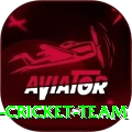 hong kong cricket team App