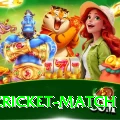 india cricket match Pro Max v4.8.3