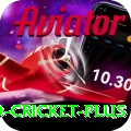 india england cricket Game VIP v4.7.2
