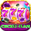 india international cricket team Master Pro v5.8.9
