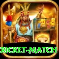 india pakistan cricket match Pro Max v3.3.8