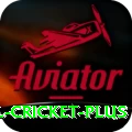 international cricket Plus Gaming App
