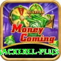 king mackerel King v1.5.6