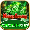 online cricket Slot Machine Master