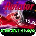 pakistan women cricket team Master Pro v3.5.8