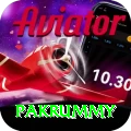 pakrummy Apps (Tools & Injectors) Master v2.1.2