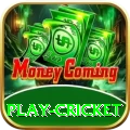 play cricket Games (Casino & Earning) Max v5.1.2