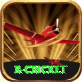 r cricket VIP Pro v1.3.1
