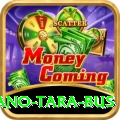 saano tara bus Elite v3.3.7