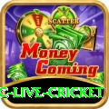 smartcric live cricket Pro