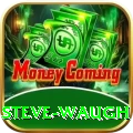 steve waugh Games (Casino & Earning) Ultimate v3.9.6