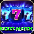 to day cricket match VIP v5.9.3