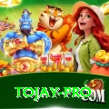 tojay Games (Casino & Earning) Deluxe v1.2.9
