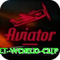 u19 cricket world cup Pro1 v2.1.3
