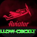 willow cricket Plus Edition v5.9.0