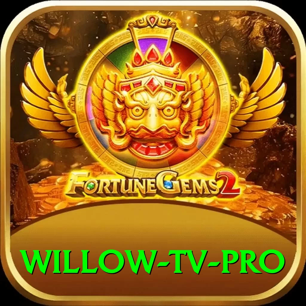 willow tv Plus Slots - 2