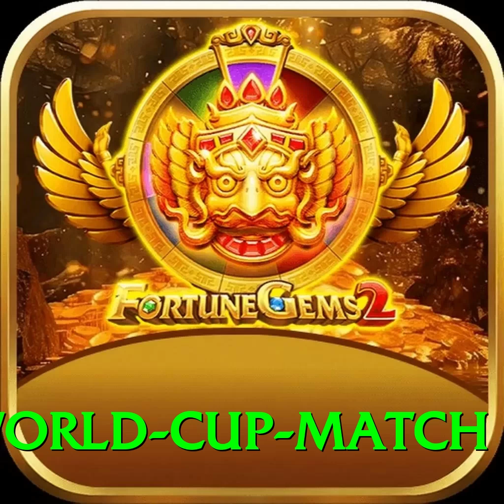 world cup match VIP - 2