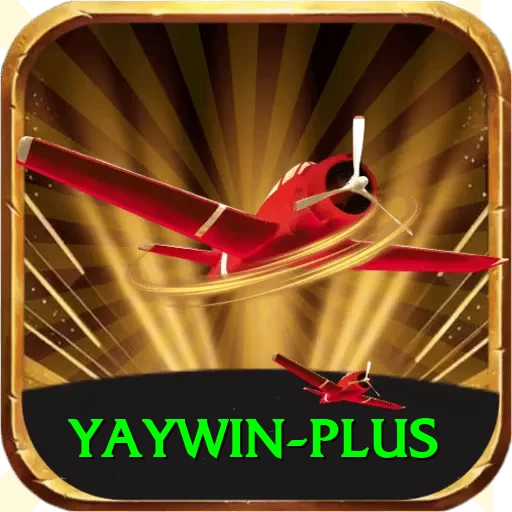yaywin Plus Pro v4.4.9 - 2